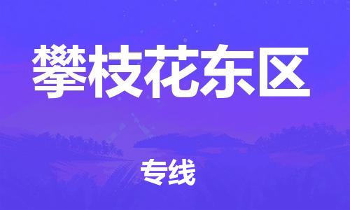 廣州到攀枝花東區(qū)物流專線公司_廣州到攀枝花東區(qū)專線物流公司直達貨運